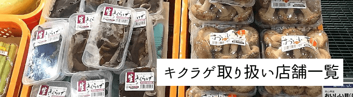 キクラゲ取り扱い店舗一覧