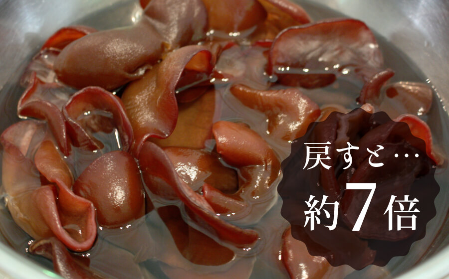 約7倍にふくらむ乾燥キクラゲ