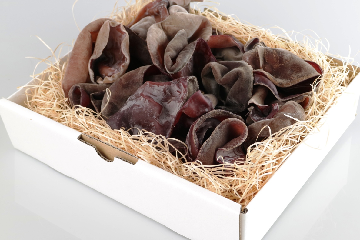 きくらげギフト